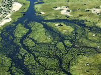 Okovango Delta, PROPICS0451