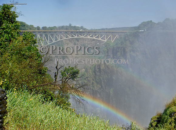 PROPICSDSCF0477
