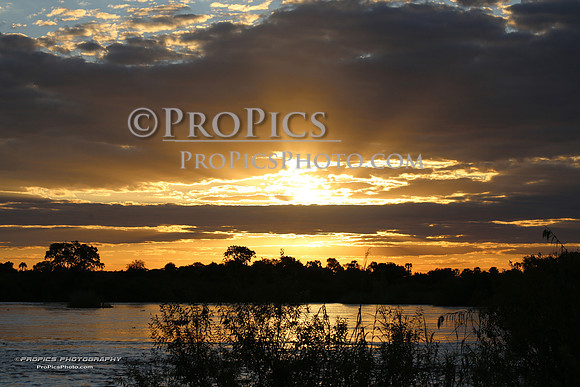 PROPICS8368
