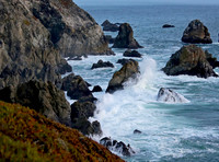 BX3A6400-1hs, Bodega Bay, CA