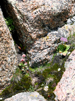 ProPics_4488 WM