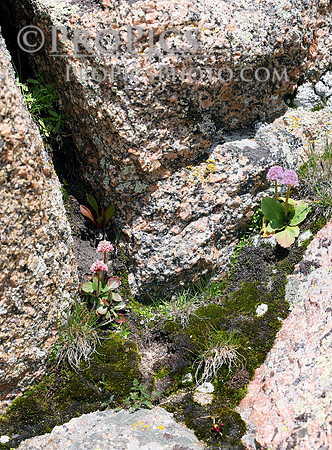 ProPics_4488 WM