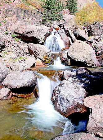 Creed, PROPICS 5914-1WM