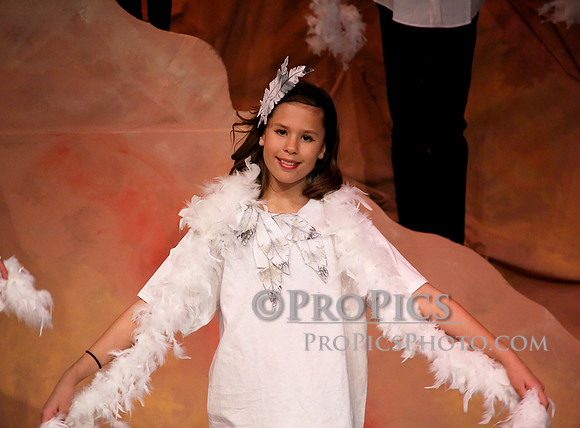 PROPICS8234