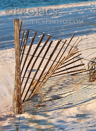 BX3A9009WM